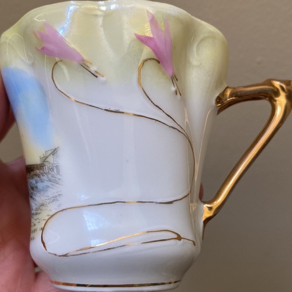 Viola Bavaria cup& saucer - Picture 6 of 16